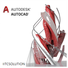 AutoCAD 2024 Single Membership /1년